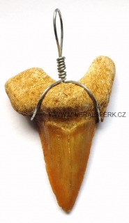 Přívěsek z fosilního zubu žraloka - tmavý